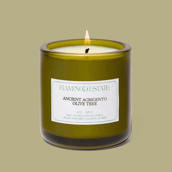Ancient Agrigento Olive Tree Candle